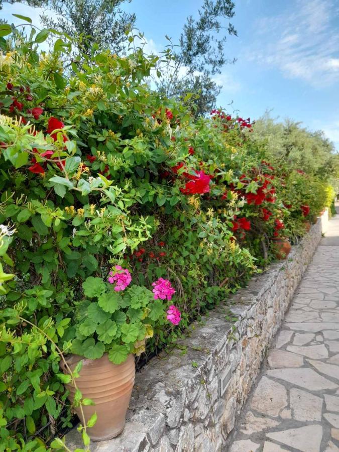 Aphrodite Apartments Kalyves Dış mekan fotoğraf